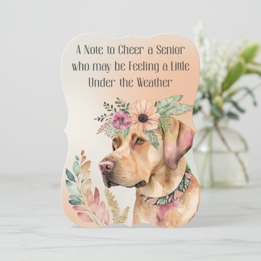 自宅で女性または男性のシニアのウェルカードを取得する カード (スタンド正面)