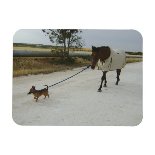 自宅に向かう マグネット (横)