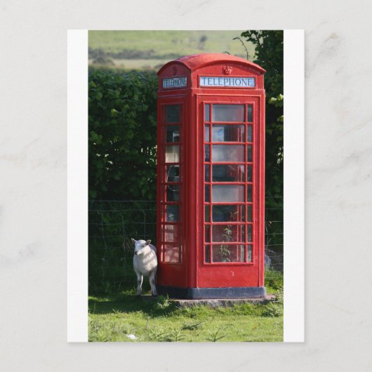 自宅に電話 ポストカード (正面)