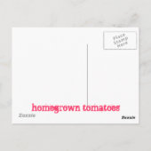 自家栽培のトマト ポストカード (裏面)