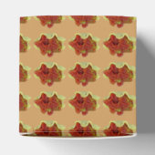 自家製サルサ フェイバーボックス (上部)