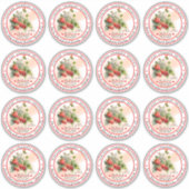 自家製ストロベリーキャニング3を16枚に保存 シール (正面)