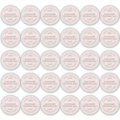 自家製素朴ブルーベリージャムパステルピンク2インチ シール (正面)