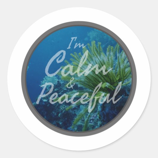 自己前向き認に関する主張 ラウンドシール (正面)