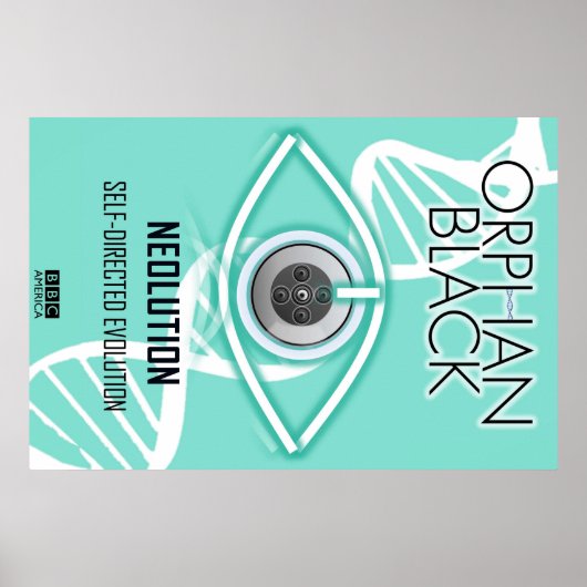 自己指向の進化（ポスター） ポスター (正面)