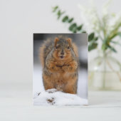 自己紹介 ポストカード (スタンド正面)