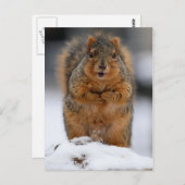 自己紹介 ポストカード (正面/裏面)