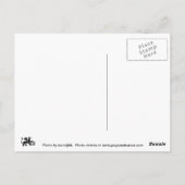 自己紹介 ポストカード (裏面)