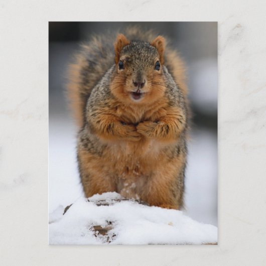 自己紹介 ポストカード (正面)