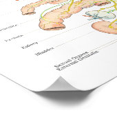 自律神経系カイロプラクティックポスター ポスター (角)