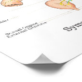 自律神経系カイロプラクティックANSポスター ポスター (角)