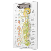 自律神経系ドクターズオフィスのクリップボード クリップボード (左)