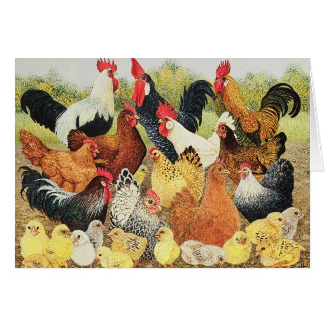 自慢したいこと (正面横)