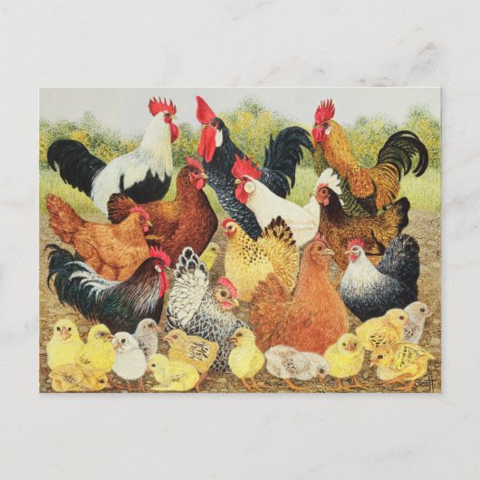 自慢したいこと ポストカード (正面)