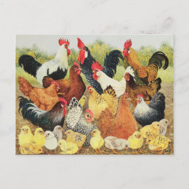 自慢したいこと ポストカード