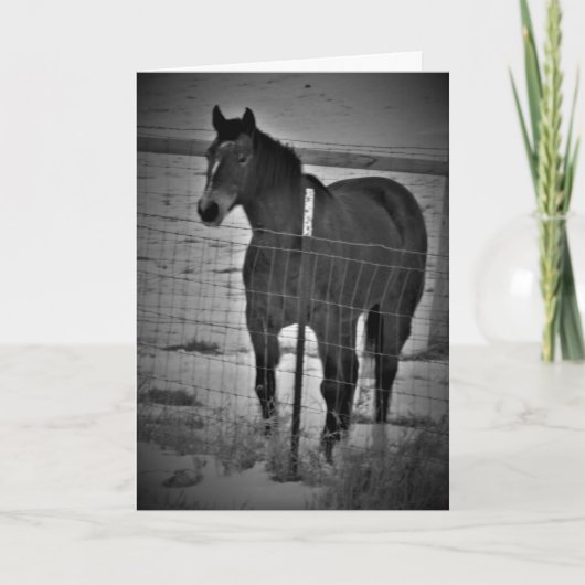 「自慢するな」誕生日カード カード (正面)