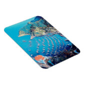 自民党サンタカタリナ島 – カリフォルニア州 – ハーバー マグネット (右側)