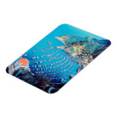 自民党サンタカタリナ島 – カリフォルニア州 – ハーバー マグネット (左側)