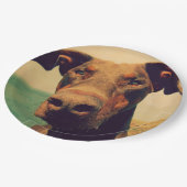 自然おもしろいなドバーマン犬のクローズアップ ペーパープレート (アングル)