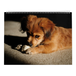 自然および動物 カレンダー