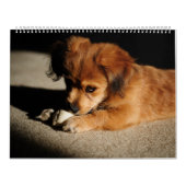 自然および動物 カレンダー (カバー)