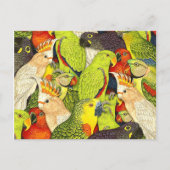 自然お洒落グリーンパロッツの鳥パターン ポストカード (正面)