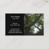 自然か常緑のクスノキ 名刺 (裏面)