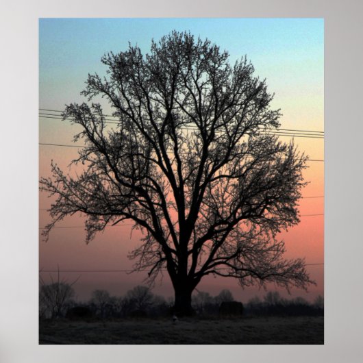 自然か育成か? ポスター (正面)