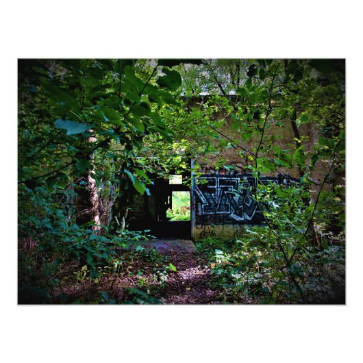 「自然が忘れ主張」 フォトプリント            (正面)