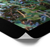 「自然だってヘアメイクが悪いわ!」 プリント (角)