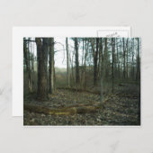 自然で囲まれたツリー ポストカード (正面/裏面)