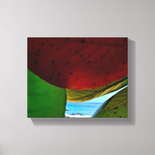 自然で囲まれた – トロピッ離れク・海・キャンバス キャンバスプリント (正面)