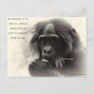 自然との調和 ポストカード