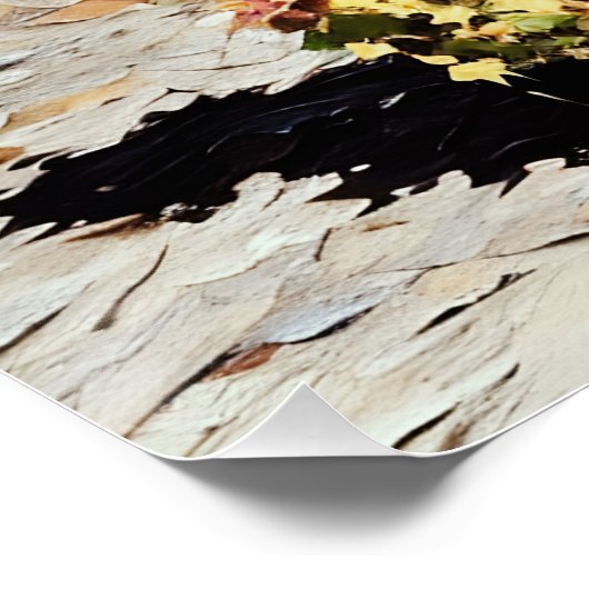 自然と分離 ポスター (コーナー)