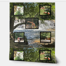 自然と動物の世界