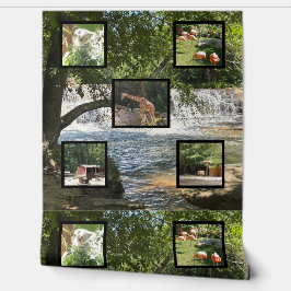 自然と動物の世界 壁紙