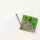 自然と混乱を肯定する美しいジャーナル ノートブック (内部)