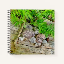 自然と混乱を肯定する美しいジャーナル