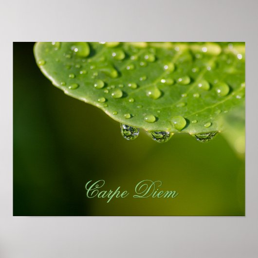 自然と調和で生きろ！ ポスター (正面)