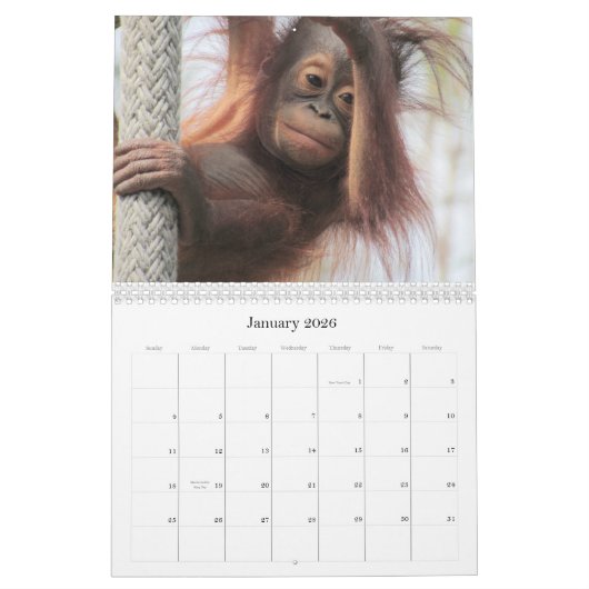 自然と野生動物のカレンダー カレンダー (1月 2026)