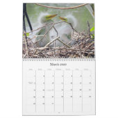 自然と野生動物のカレンダー カレンダー (3月 2026)
