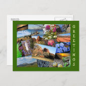 自然と野生生物のコラージュ ポストカード (正面/裏面)