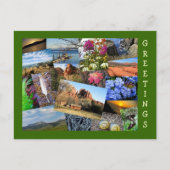 自然と野生生物のコラージュ ポストカード (正面)