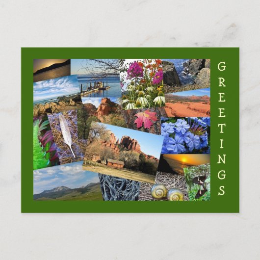 自然と野生生物のコラージュ ポストカード (正面)