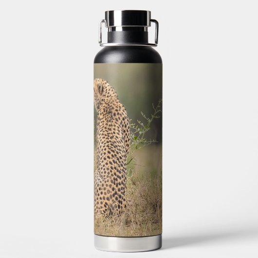 自然なアフリカの設定でチーターをパーソナライズ ウォーターボトル (背面)