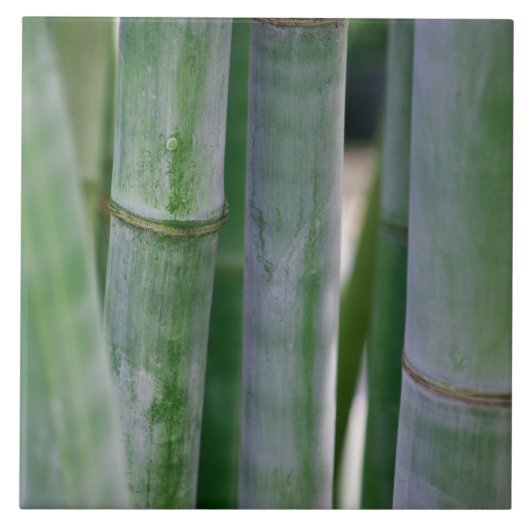 自然なタケ禅の背景によってカスタマイズテンプレート タイル (正面)