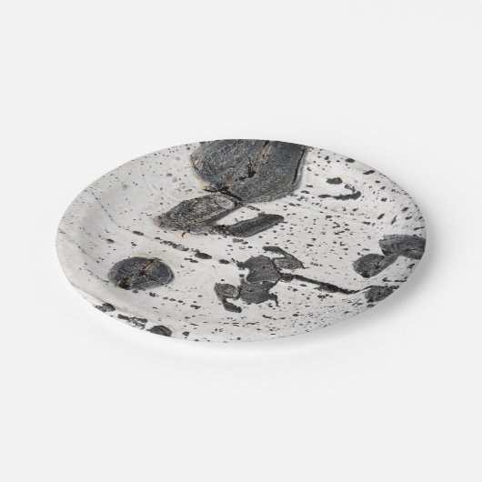 自然なテクスチャ白うずく《植物》アスペン樹皮の写真 ペーパープレート (アングル)