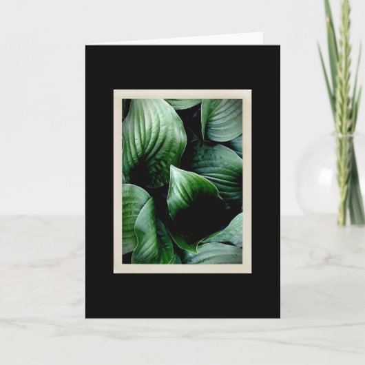 自然な優美104のカード カード (正面)