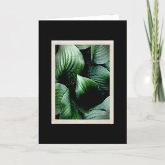 自然な優美104のカード カード