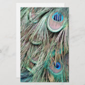 自然な孔雀は柔らかい羽を注目します 便箋 (正面/裏面)